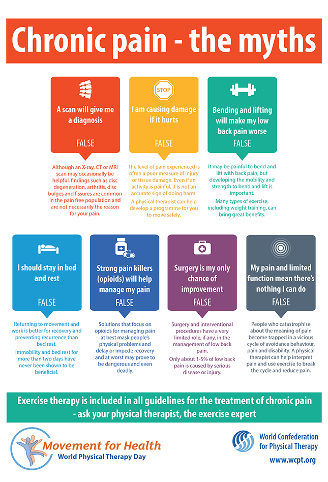 Thumbnail graphic of Infographic 2: Chronic pain - the myths in English