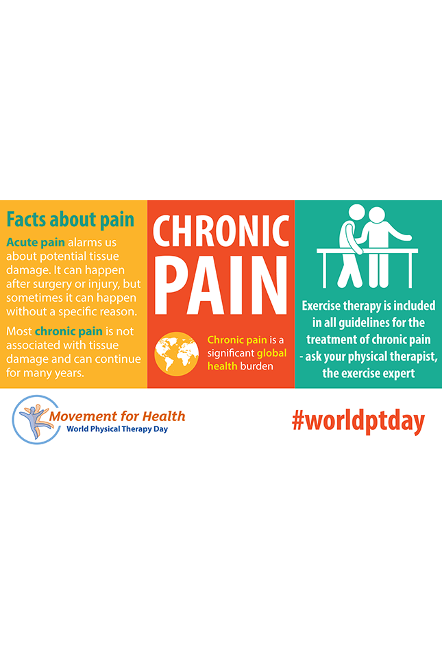 Thumbnail graphic for World PT Day 2019 social media image