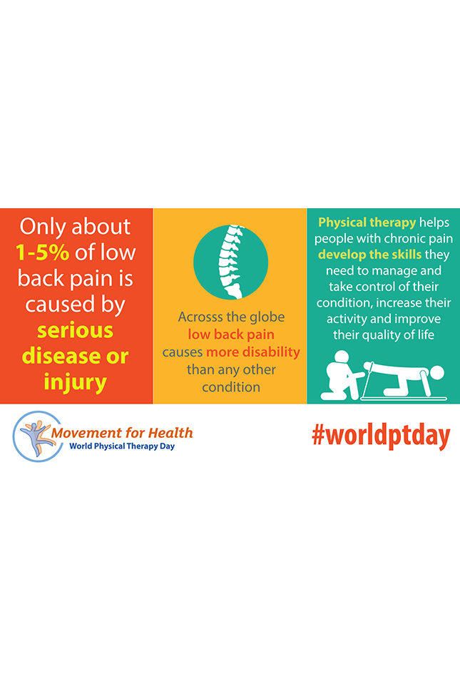Thumbnail graphic for World PT Day 2019 social media image