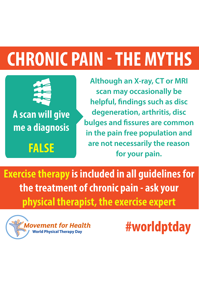 Thumbnail graphic for World PT Day 2019 social media image