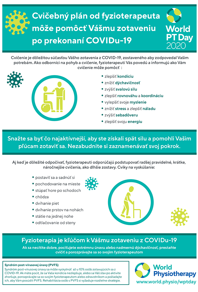 Thumbnail of World PT Day infographic 1 in Slovak