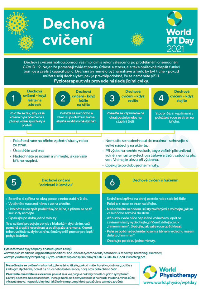 Image for World PT Day 2021 InfoSheet 5 in Czech