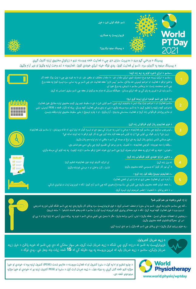 World PT Day information sheet 4. Pashto