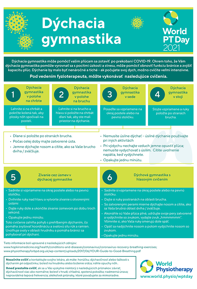 Image of World PT Day 2021 information sheet 1 in Slovak
