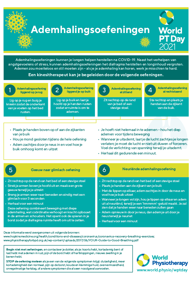 World PT Day information sheet 5. Dutch - Belgian