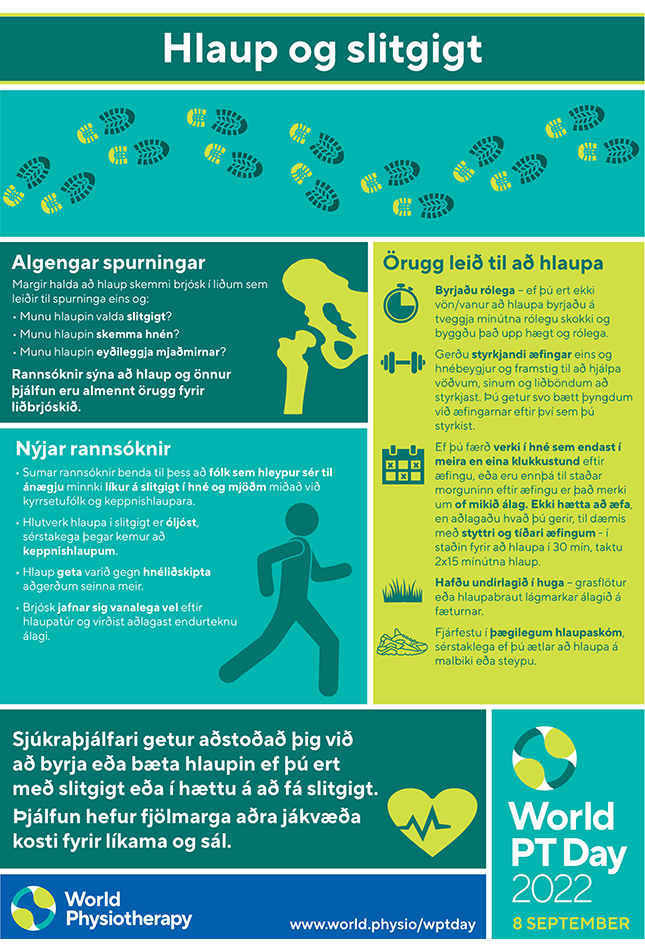 WPTD2022 InfoSheet4 Icelandic thumbnail