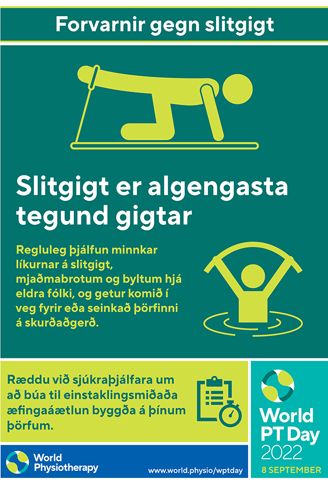 WPTD2022 Poster3 Icelandic thumbnail