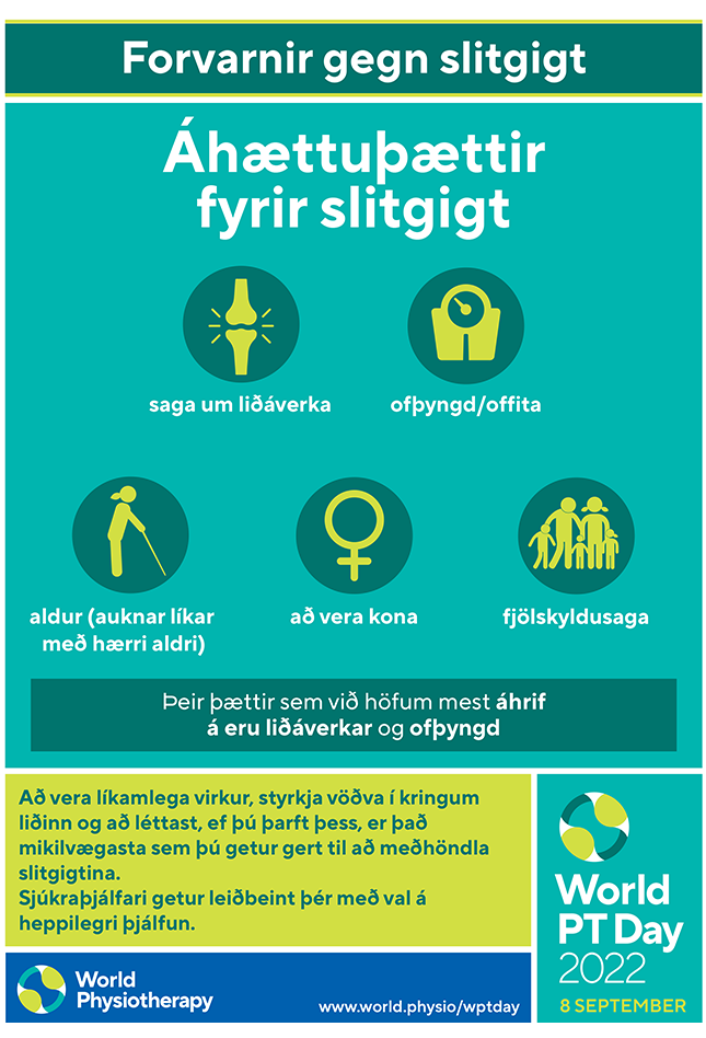 WPTD2022 Poster4 Icelandic thumbnail