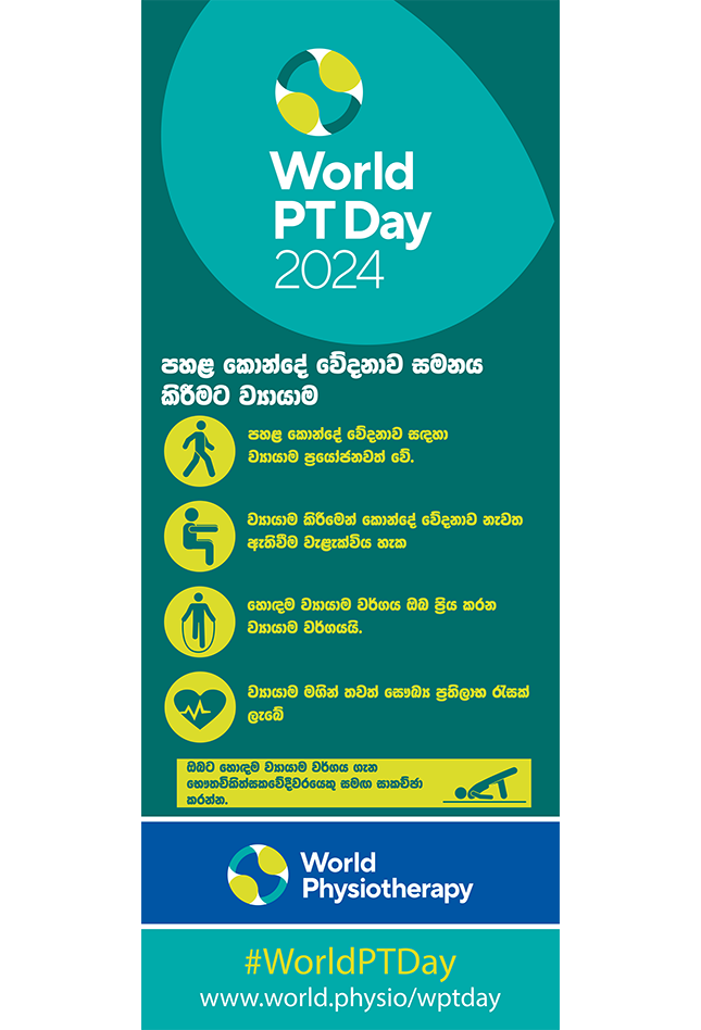 WPTD2024-Rollerbanner2-පහළ කොන්දේ වේදනාව සමනය කිරීමට ව්යායාම