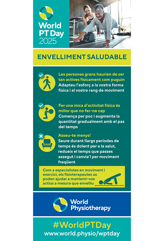 World PT Day 2025 Roller banner 1