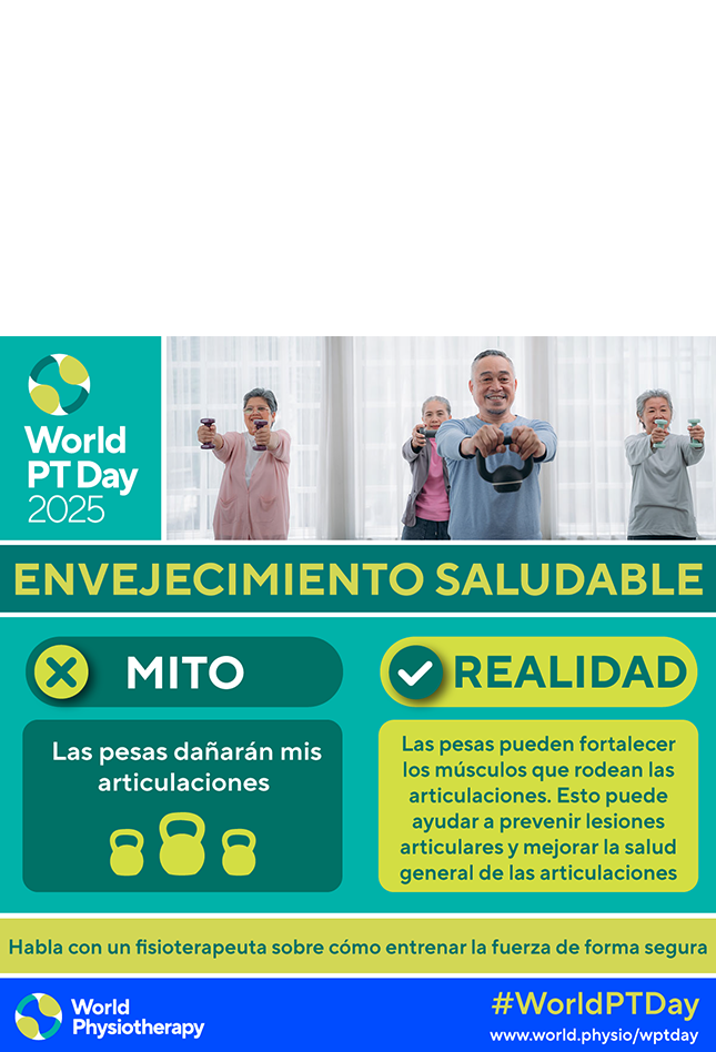 World PT Day 2025 social media file 7