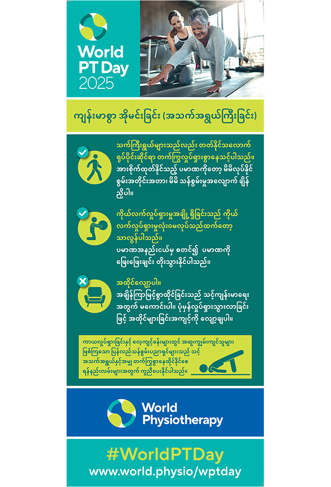 World PT Day 2025 Roller banner 1