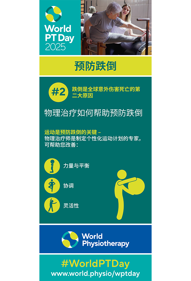 World PT Day 2025 Roller banner 2