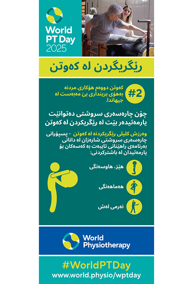 World PT Day 2025 Roller banner 2