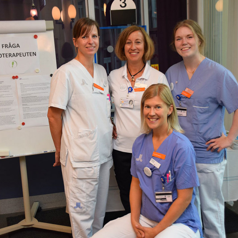 Photograph showing a celebration held in Sweden to mark World PT Day 2018