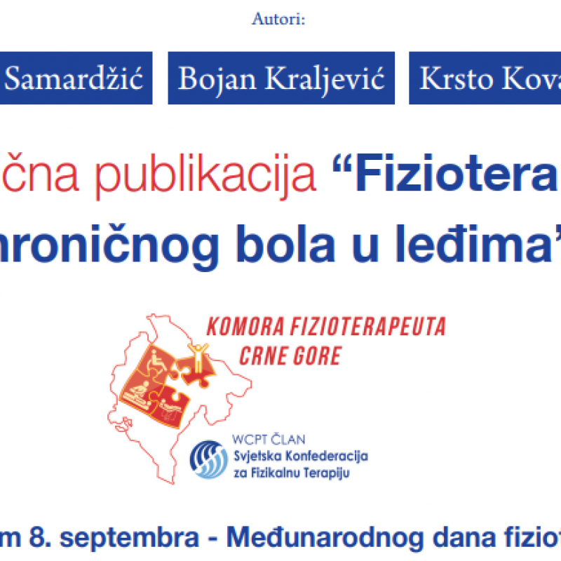 Photograph showing a celebration held in Montenegro to mark World PT Day 2019