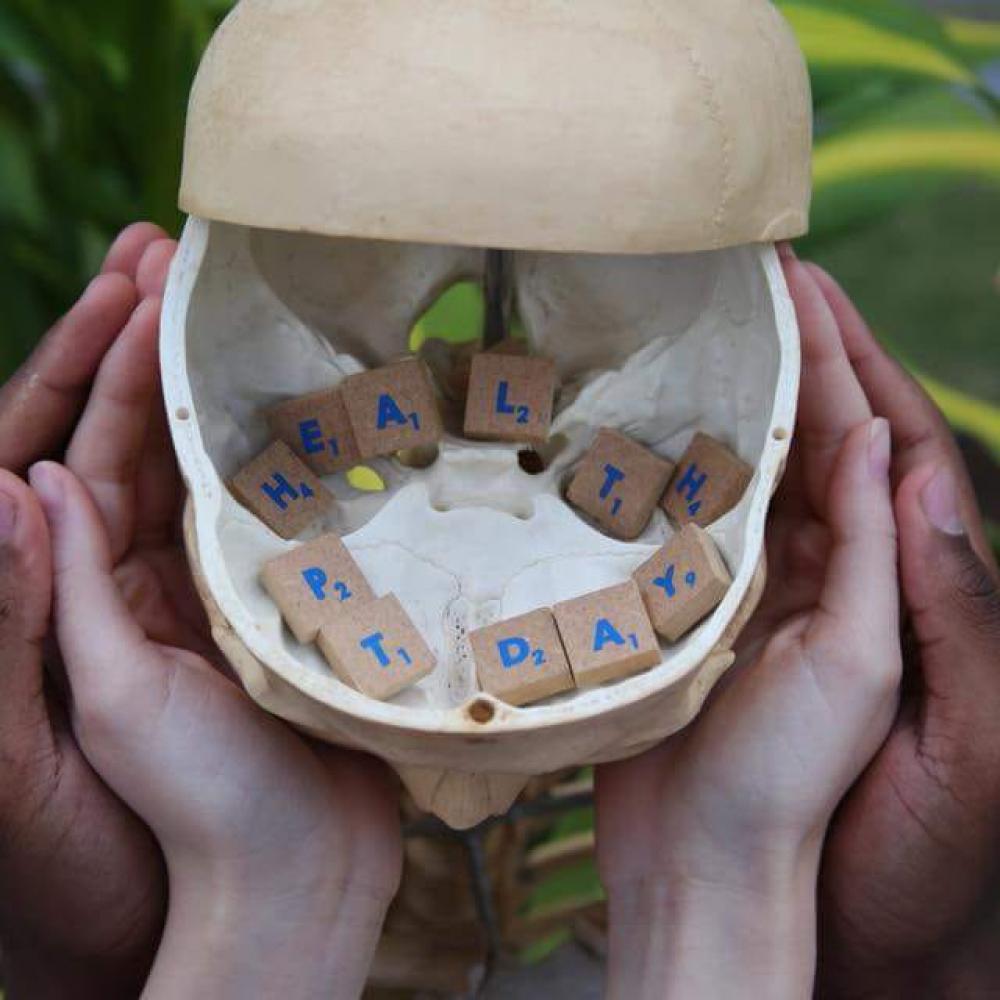 Photograph showing a celebration held in Brazil to mark World PT Day 2018