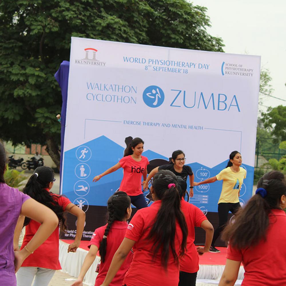 Photograph of World PT Day 2018 celebration in India