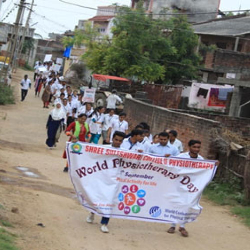 Photograph of World PT Day 2018 celebration in India