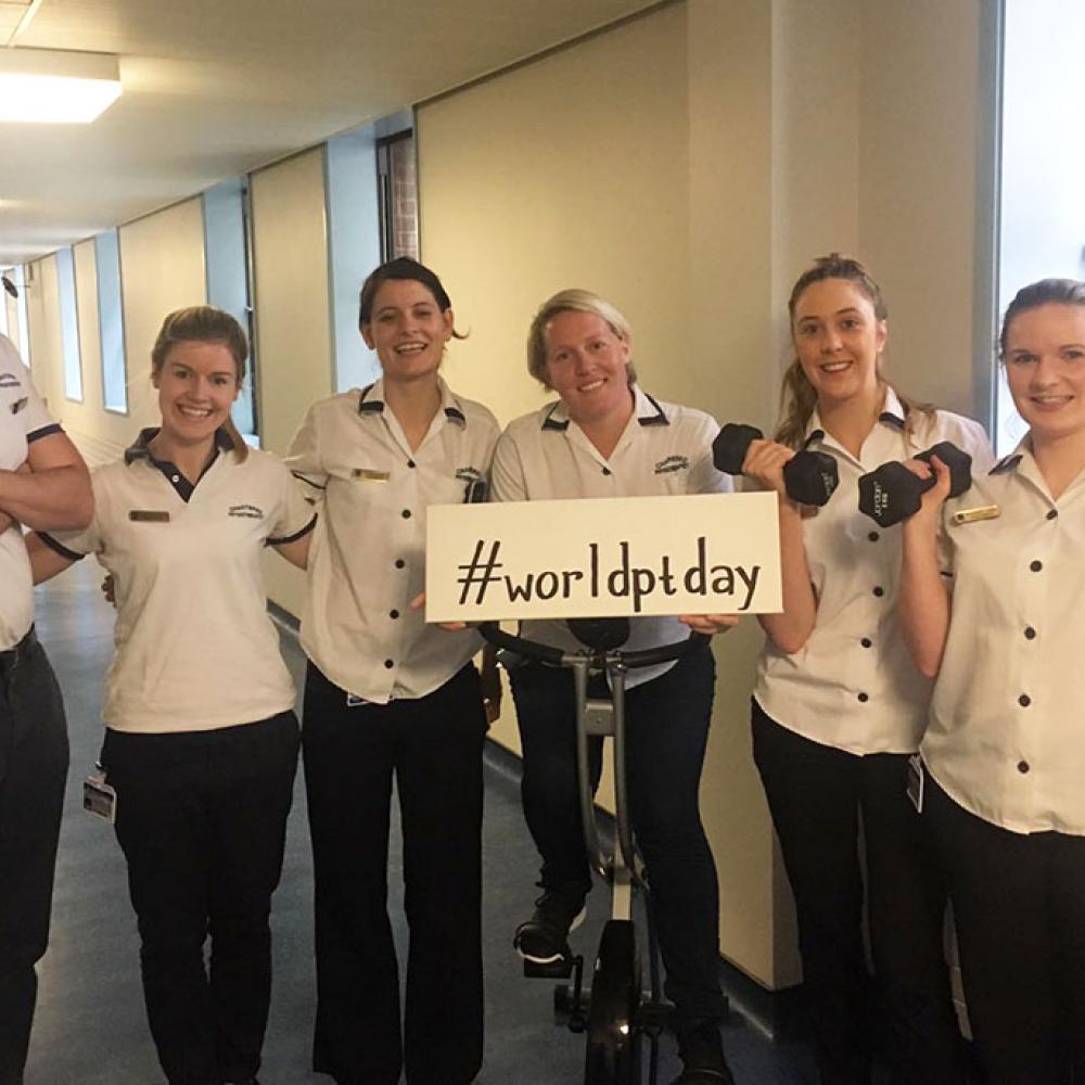 Photograph of World PT Day 2018 celebration in Ireland