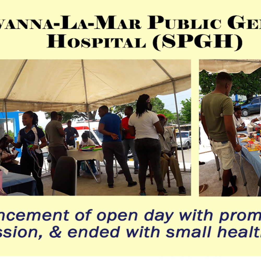 Photograph of World PT Day 2018 celebration in Jamaica