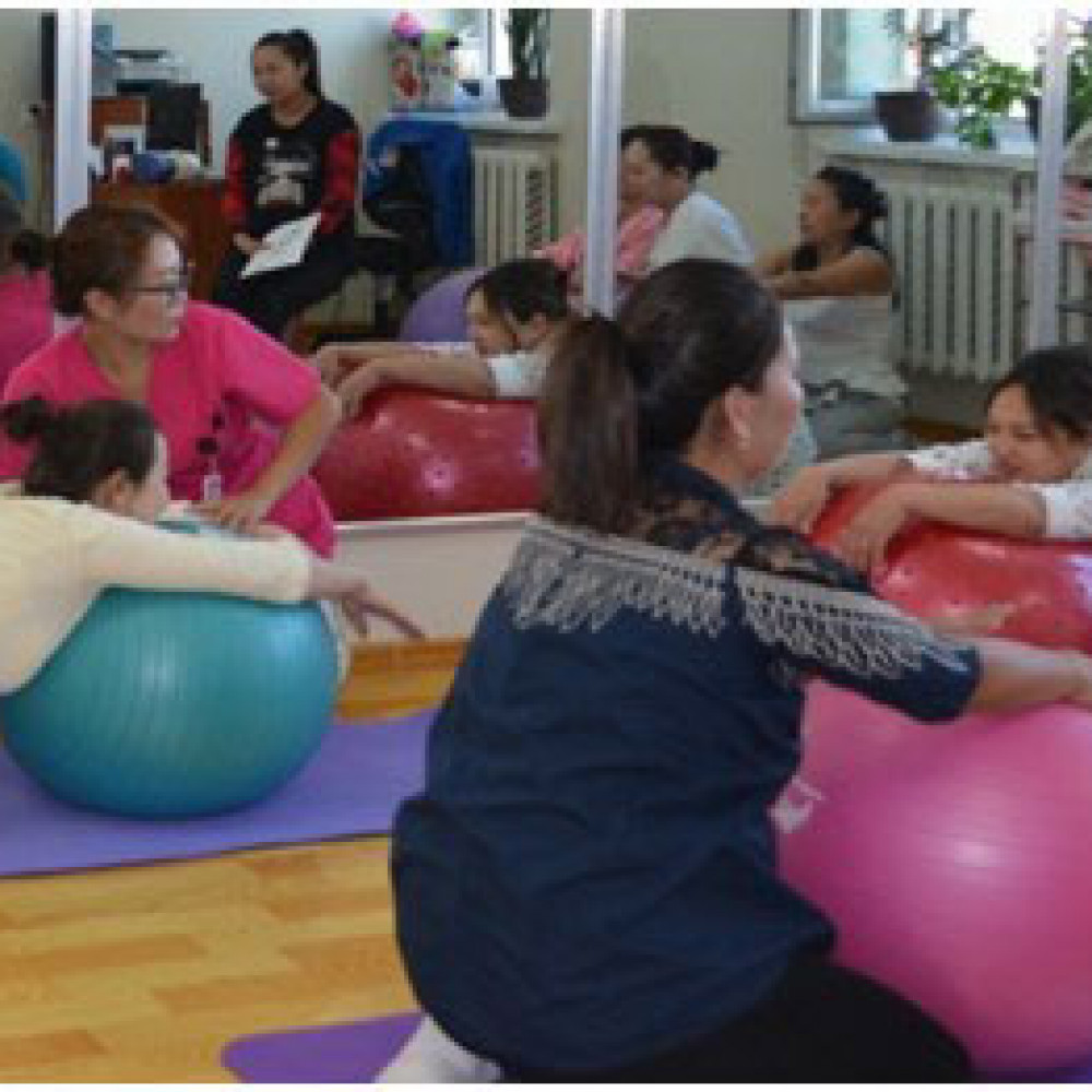 Photograph of World PT Day 2018 celebration in Mongolia