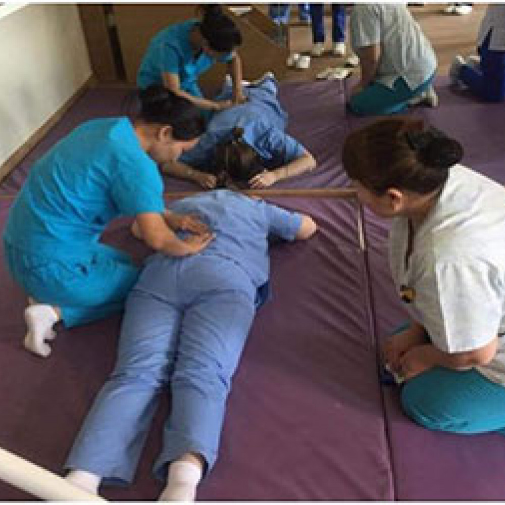 Photograph of World PT Day 2018 celebration in Mongolia