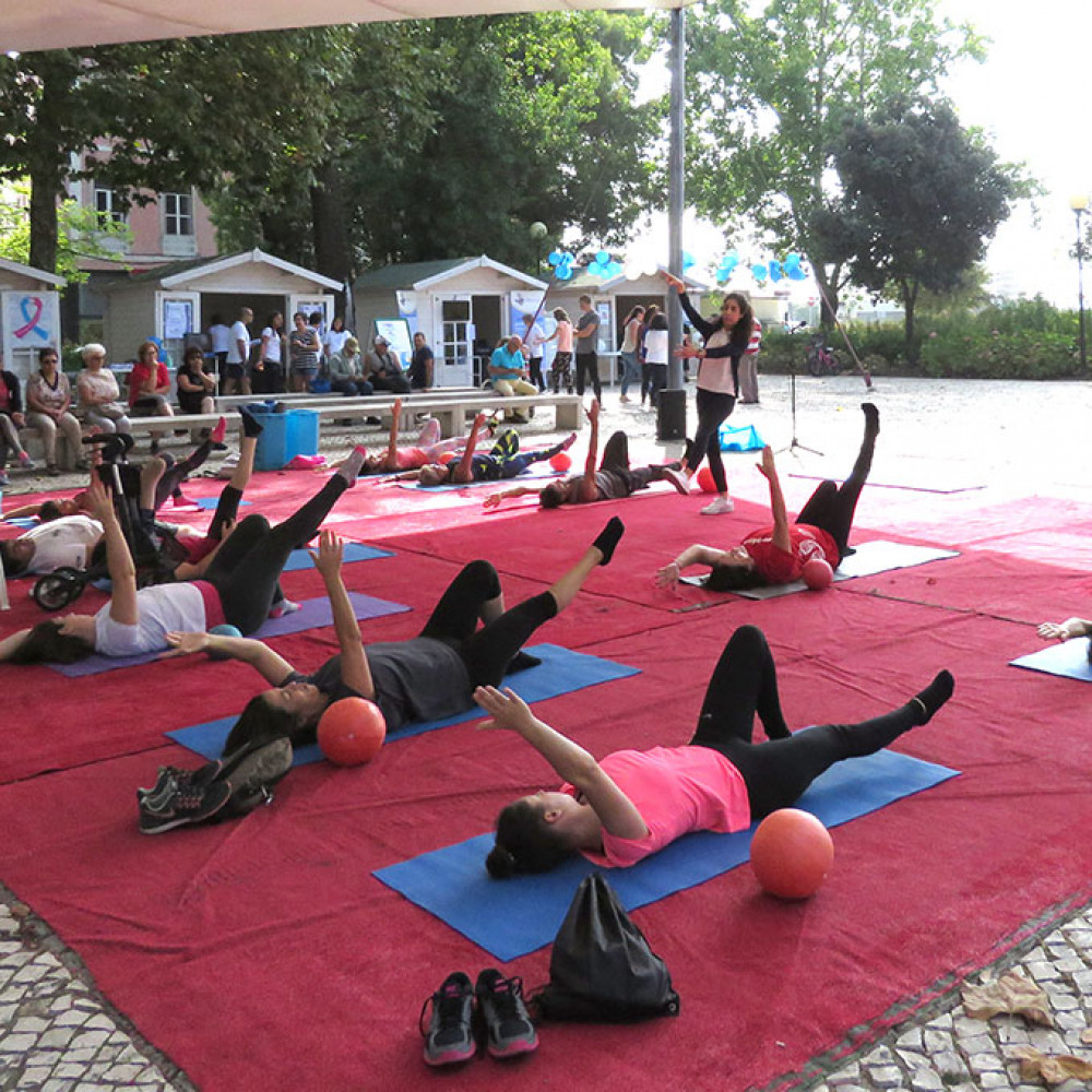 Photograph of World PT Day 2018 celebration in Portugal