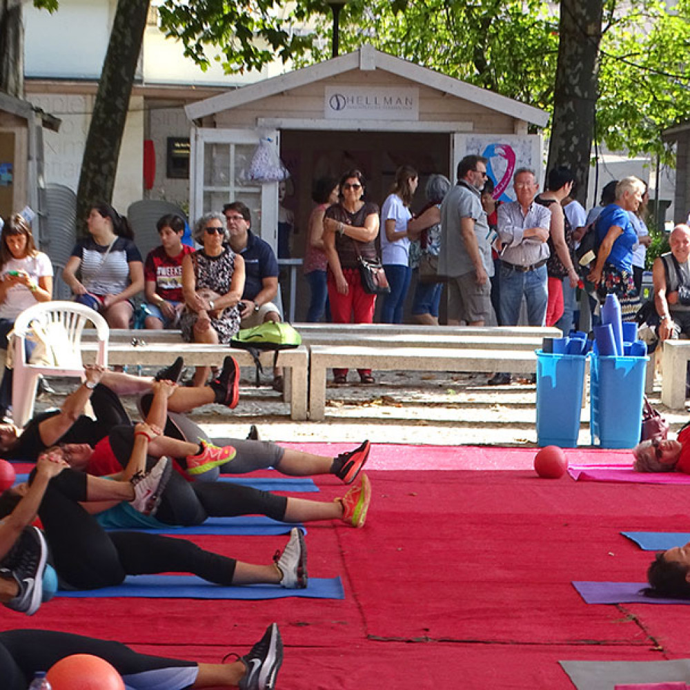 Photograph of World PT Day 2018 celebration in Portugal