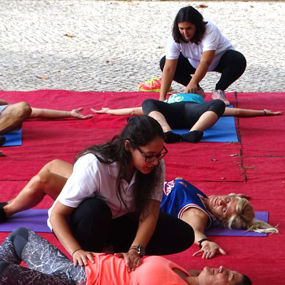 Photograph of World PT Day 2018 celebration in Portugal