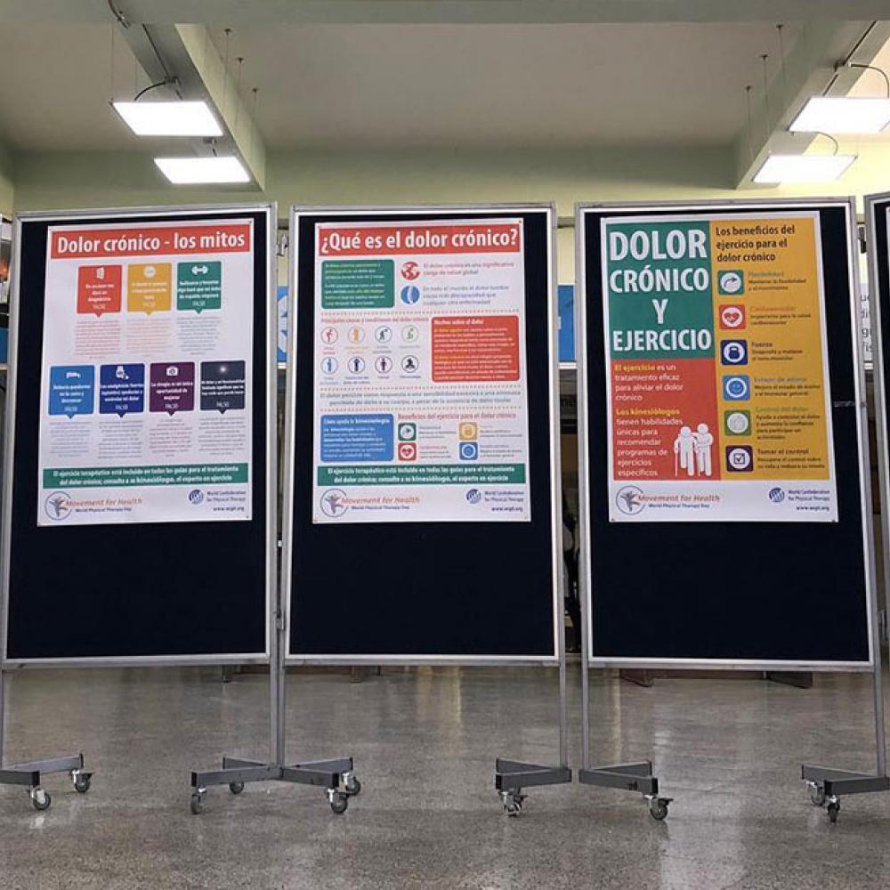 Photograph showing one of the celebrations held in Chile to mark World PT Day 2019