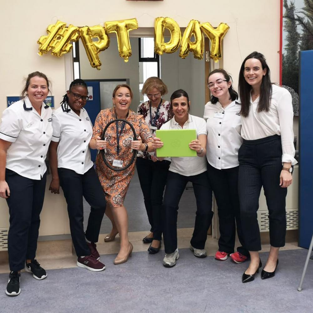 Photograph showing a celebration held in Ireland to mark World PT Day 2019