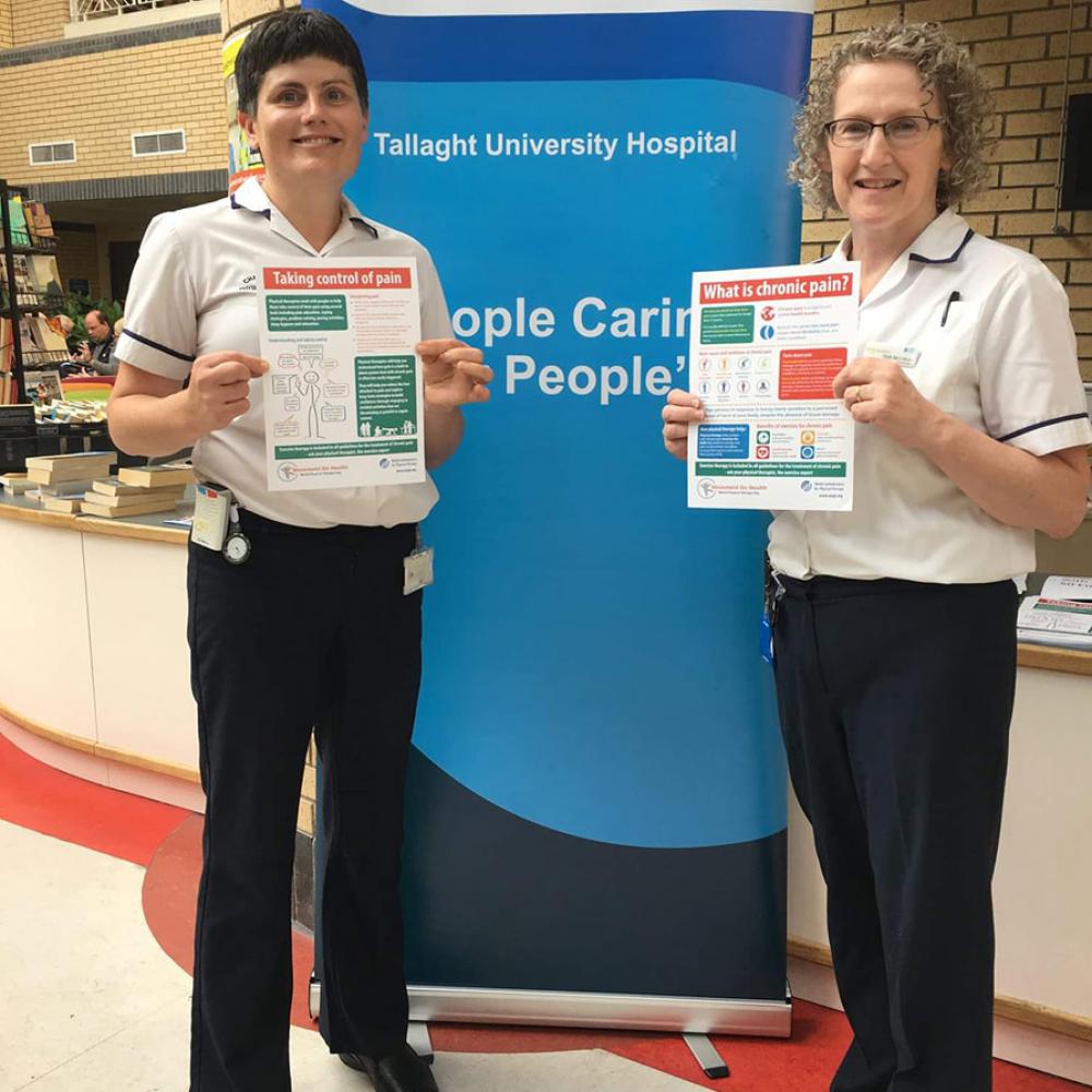 Photograph showing a celebration held in Ireland to mark World PT Day 2019