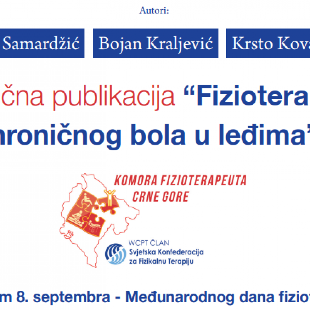 Photograph showing a celebration held in Montenegro to mark World PT Day 2019