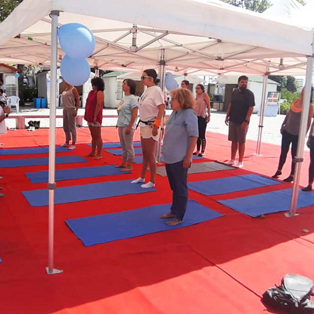 Photograph showing a celebration held in Portugal to mark World PT Day 2019