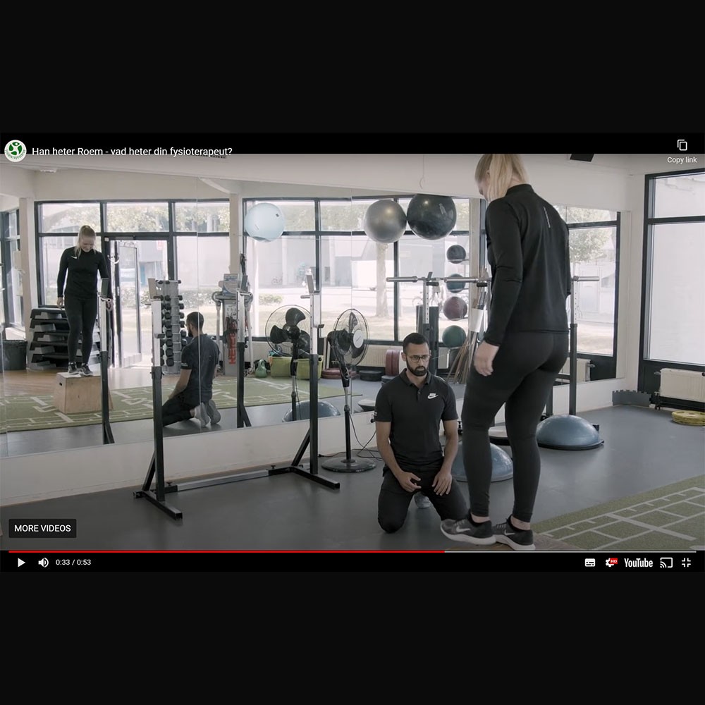 Image taken from videos produced by Swedish Association of Physiotherapists for World PT Day 2021