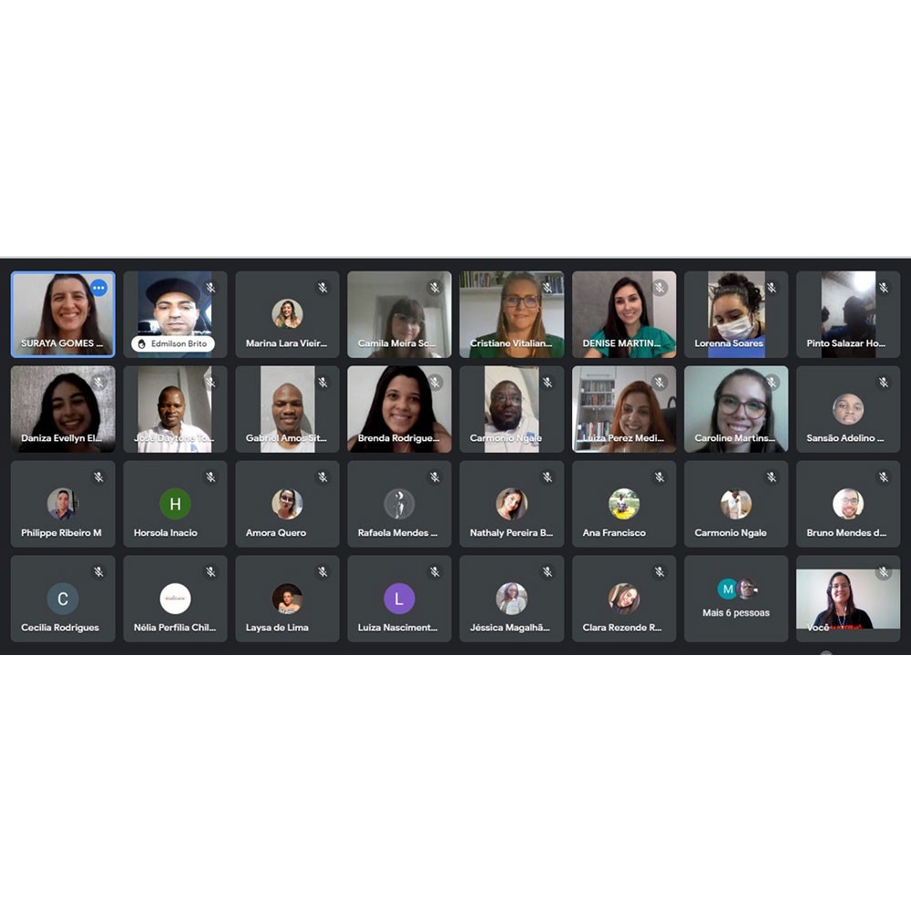 Photo of webinar held in Brazil to mark World PT Day 2022