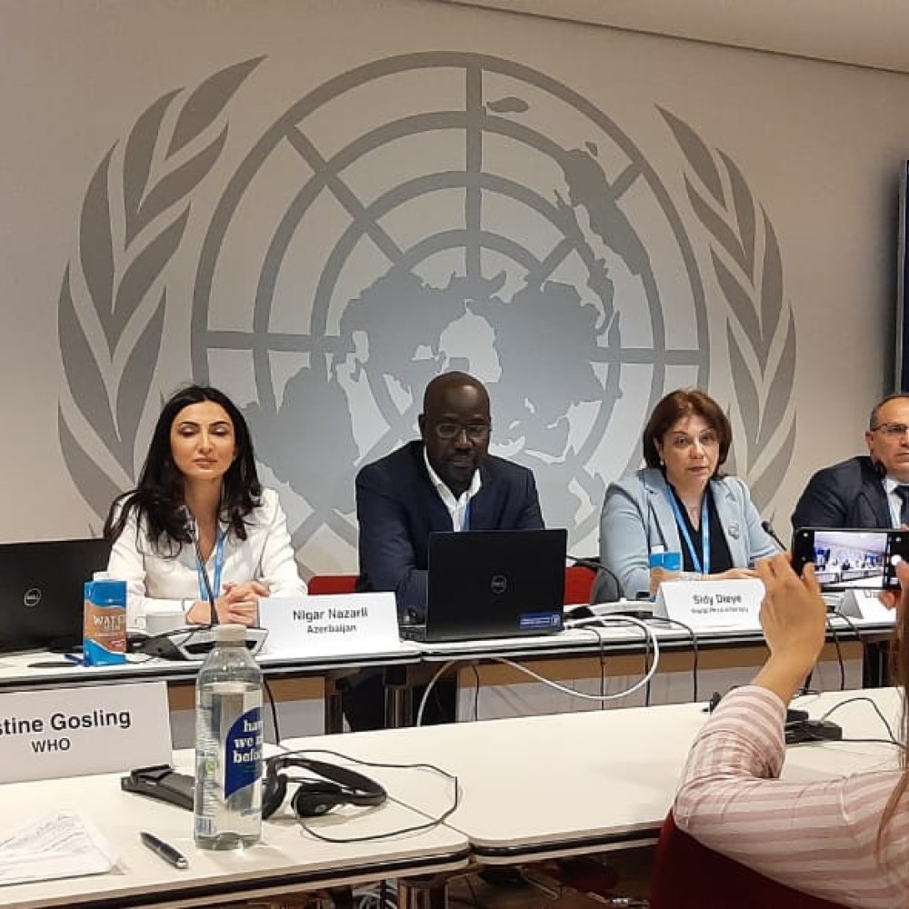 Speakers at stakeholder meeting in Copenhagen in June 2022