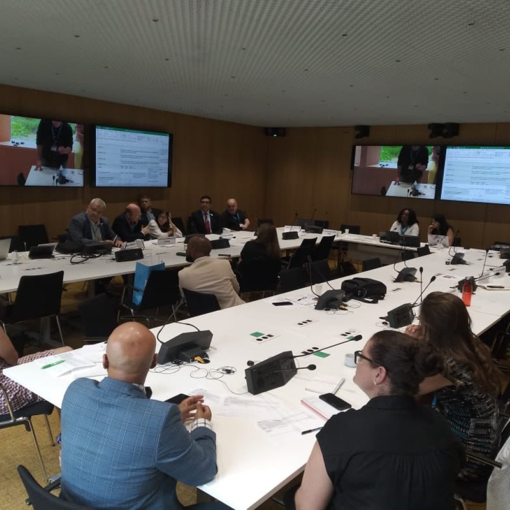 World Rehabilitation Alliance emergencies workstream meeting