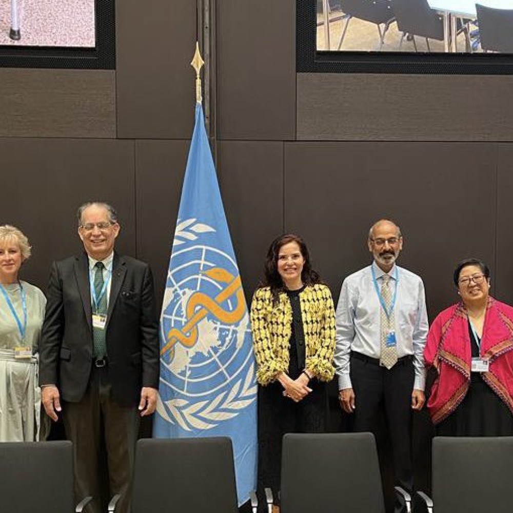 World Rehabilitation Alliance workstream chairs