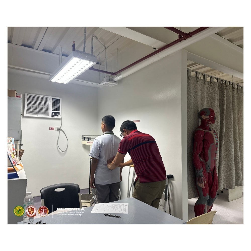 Photo showing activities held for World PT Day 2025 in the Philippines