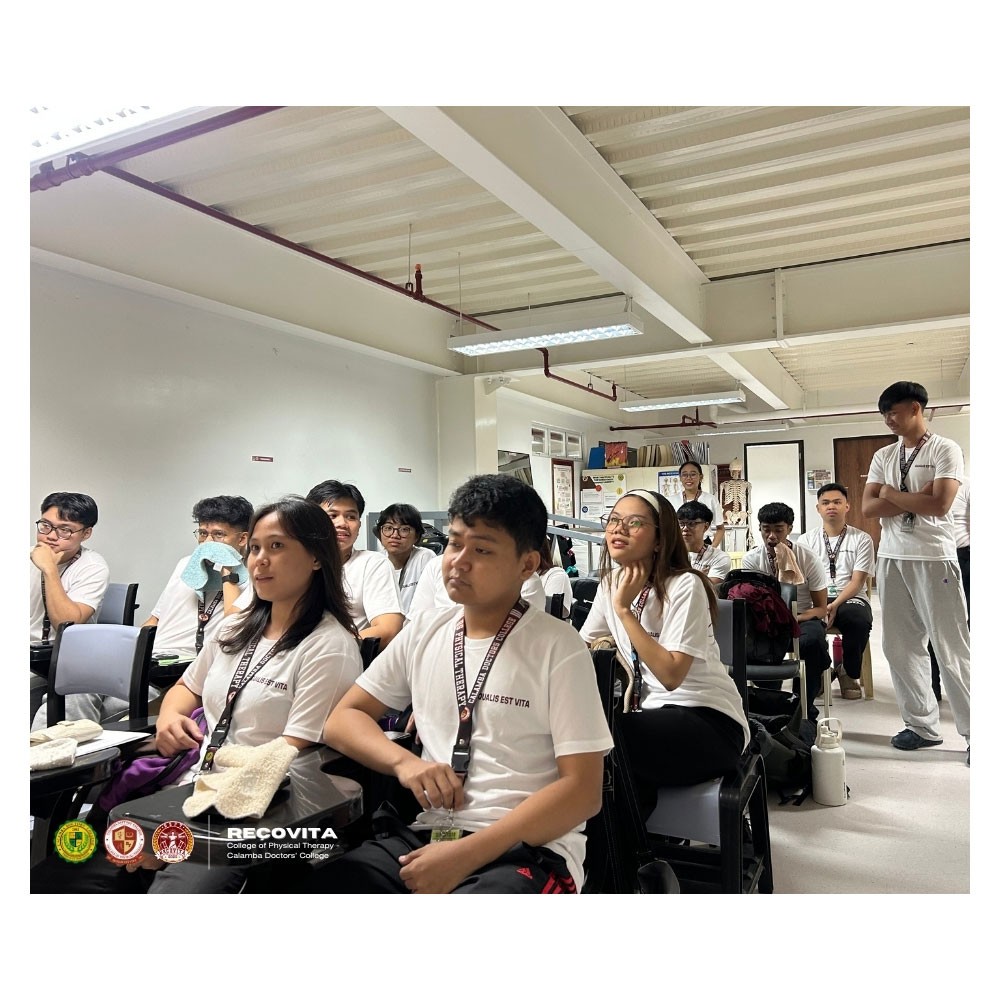 Photo showing activities held for World PT Day 2025 in the Philippines