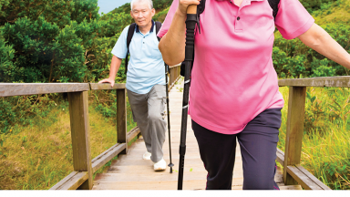  Photograph showing a celebration held in Australia to mark World PT Day 2018