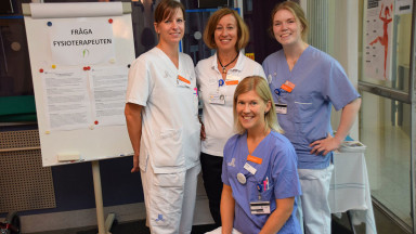 Photograph showing a celebration held in Sweden to mark World PT Day 2018