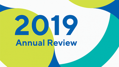 World Physiotherapy annual review 2019