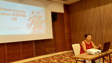 Photograph of the President of the Association of Physiotherapists in Bosnia and Herzegovina giving a presentation for World PT Day 2020