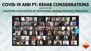 Image of webinar held in the Philippines to mark World PT Day 2021
