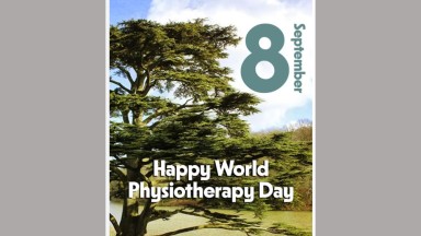 Image of beginning of video made for World PT Day 2024